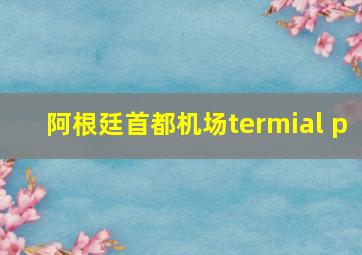 阿根廷首都机场termial p